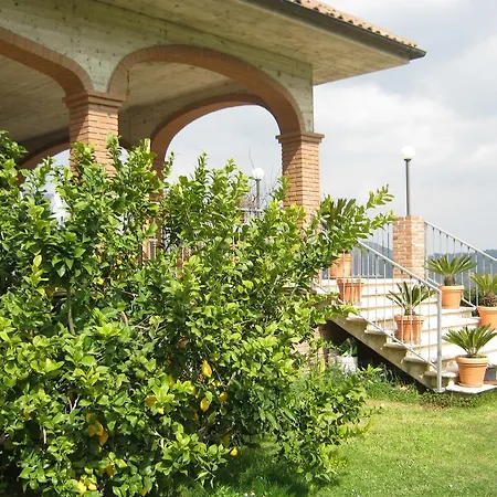 Mimi E Coco Ascoli Piceno