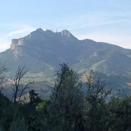 Mimi E Coco אסקולי פיצ'נו