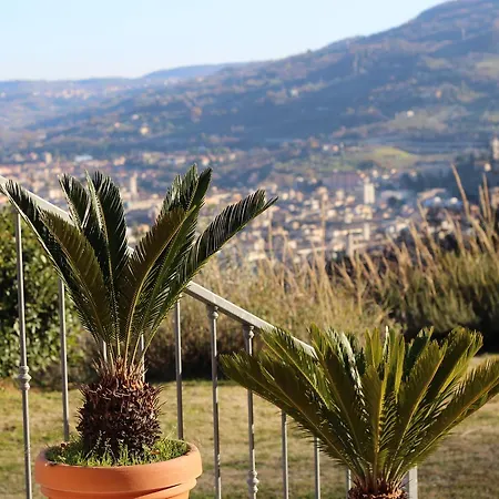 Mimi E Coco Ascoli Piceno