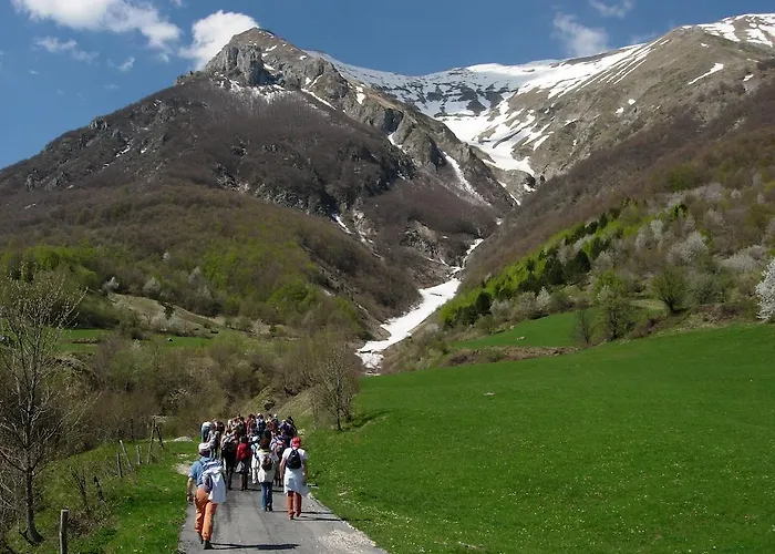 Landsted Mimi E Coco