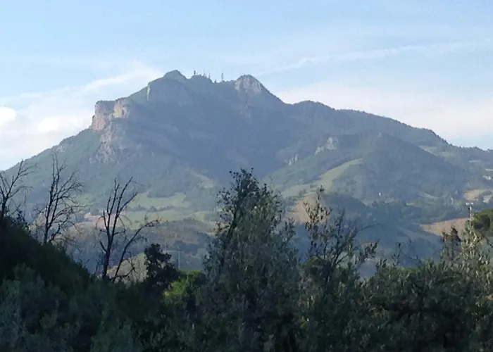 Mimi E Coco Ascoli Piceno