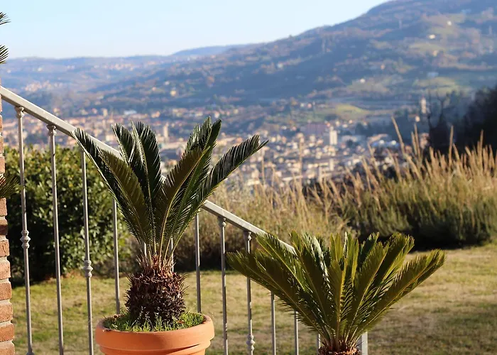 Mimi E Coco Ascoli Piceno